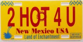 New_Mexico_L